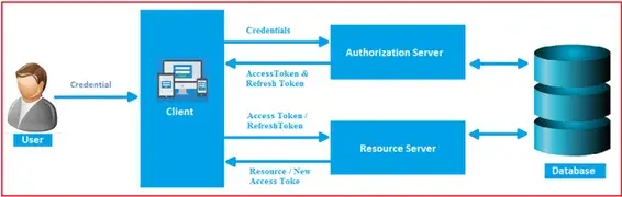 Authentication & Authorization (JWT, OAuth, ASP.NET Identity)